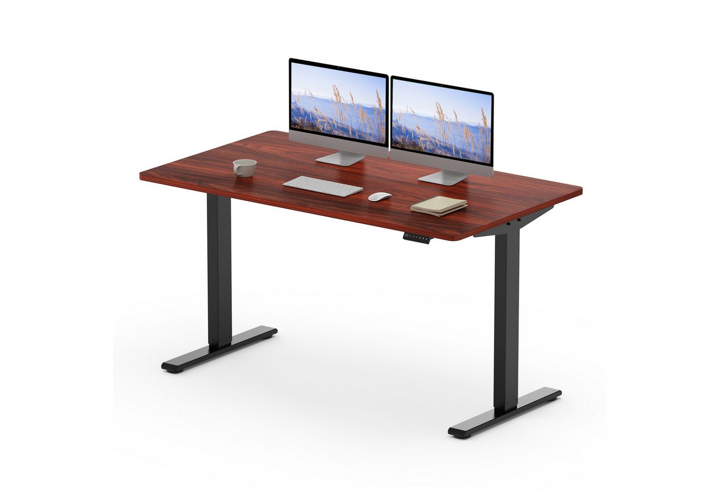 FLEXISPOT Schreibtisch Basic Plus Elektrisch höhenverstellbarer Schreibtisch (MIT einteiliger Tischplatte) von FLEXISPOT