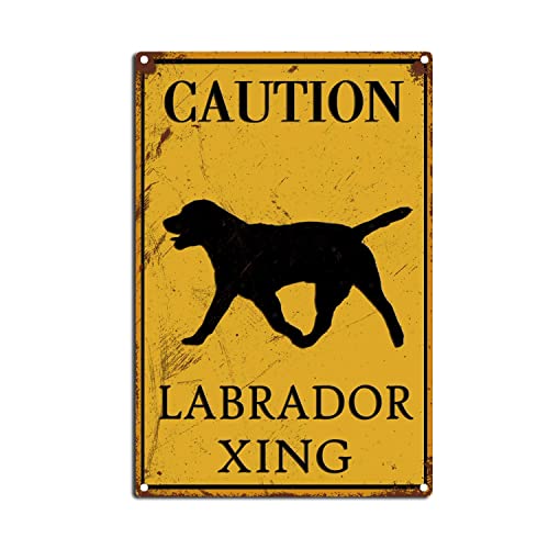 FLFGIDD Labrador Schild Caution Labrador Xing Blechschild Warntier Straßenschild Wanddekoration für Zuhause Wanddekoration Kaffee Bar 20,3 x 30,5 cm Blechschild FLFGIDD Labrador Schild Caution Labrador Xing Blechschild Warntier Straßenschild Wanddekoration für Zuhause Wanddekoration Kaffee Bar 20,3 x 30,5 cm Blechschild von FLFGIDD