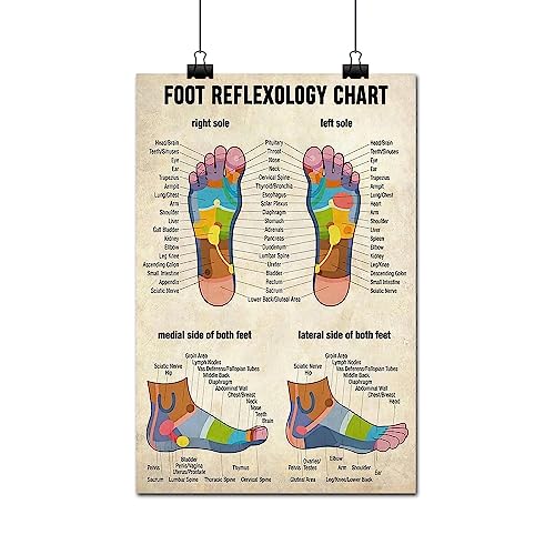 Wandkunst-Poster mit Fußreflexzonen, Massagetherapeuten, Wissen für Küche, Heimdekoration, 40,6 x 61 cm Wandkunst-Poster mit Fußreflexzonen, Massagetherapeuten, Wissen für Küche, Heimdekoration, 40,6 x 61 cm von FLFGIDD