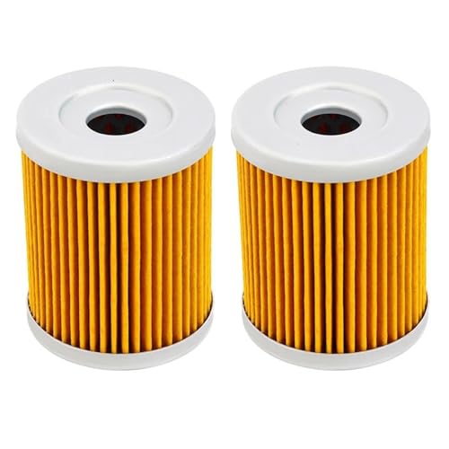 FLFHDUP Ölfilter Motorrad-Ölfilter passend für SYM 600i 400i Max, passend für Yamaha YP400 X-Max, Yp400 Majesty 400, Cp250 MORPHOUS Motorrad-Ölfilter(2 pcs) von FLFHDUP