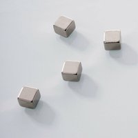 Floordirekt - Neodym-Power Mini-Magnete Blockmagnete 10 x 10 x 8 mm 4 Stück - Silber von FLOORDIREKT