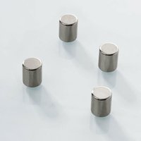 Floordirekt - Neodym-Power Mini-Magnete Zylindermagnete 8 x 10 mm 4 Stück - Silber von FLOORDIREKT