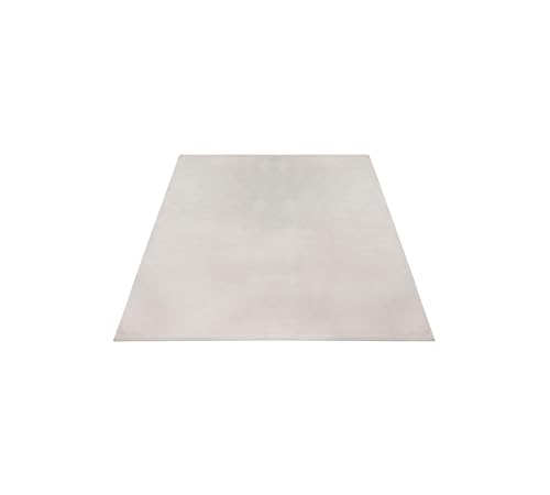 FLOORNOVO Hochflor Teppich Beige einfarbig - 170 x 120 cm - Besonders Weicher Teppich Wohnzimmer & Badezimmerteppich - Pflegeleicht - vielseitig einsetzbar im Innenbereich von FLOORNOVO