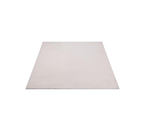 FLOORNOVO Hochflor Teppich Beige einfarbig - 220 x 160 cm - Besonders Weicher Teppich Wohnzimmer & Badezimmerteppich - Pflegeleicht - vielseitig einsetzbar im Innenbereich von FLOORNOVO
