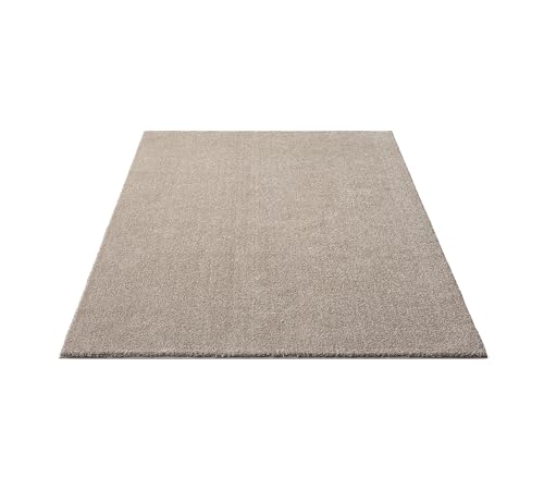 FLOORNOVO Hochflor Teppich Beige einfarbig - 230 x 160 cm - Besonders Weicher Teppich Wohnzimmer & Badezimmerteppich - Pflegeleicht - vielseitig einsetzbar im Innenbereich von FLOORNOVO