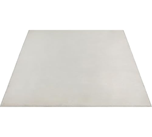 FLOORNOVO Hochflor Teppich Beige einfarbig - 340 x 240 cm - Besonders Weicher Teppich Wohnzimmer & Badezimmerteppich - Pflegeleicht - vielseitig einsetzbar im Innenbereich von FLOORNOVO