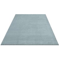 FLOORNOVO Hochflor Teppich Blau einfarbig - 110 x 60 cm - Besonders Weicher Teppich Wohnzimmer & Badezimmerteppich - Pflegeleicht - vielseitig FLOORNOVO Hochflor Teppich Blau einfarbig - 110 x 60 cm - Besonders Weicher Teppich Wohnzimmer & Badezimmerteppich - Pflegeleicht - vielseitig von FLOORNOVO