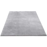 FLOORNOVO Hochflor Teppich Grau einfarbig - 110 x 60 cm - Besonders Weicher Teppich Wohnzimmer & Badezimmerteppich - Pflegeleicht - vielseitig FLOORNOVO Hochflor Teppich Grau einfarbig - 110 x 60 cm - Besonders Weicher Teppich Wohnzimmer & Badezimmerteppich - Pflegeleicht - vielseitig von FLOORNOVO