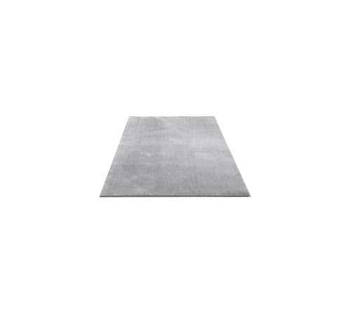 FLOORNOVO Hochflor Teppich Grau einfarbig - 150 x 80 cm - Besonders Weicher Teppich Wohnzimmer & Badezimmerteppich - Pflegeleicht - vielseitig einsetzbar im Innenbereich von FLOORNOVO