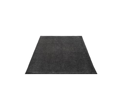 FLOORNOVO Hochflor Teppich Grau einfarbig - 170 x 120 cm - Besonders Weicher Teppich Wohnzimmer & Badezimmerteppich - Pflegeleicht - vielseitig einsetzbar im Innenbereich von FLOORNOVO