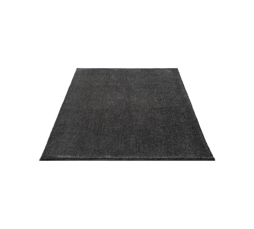 FLOORNOVO Hochflor Teppich Grau einfarbig - 200 x 140 cm - Besonders Weicher Teppich Wohnzimmer & Badezimmerteppich - Pflegeleicht - vielseitig einsetzbar im Innenbereich von FLOORNOVO