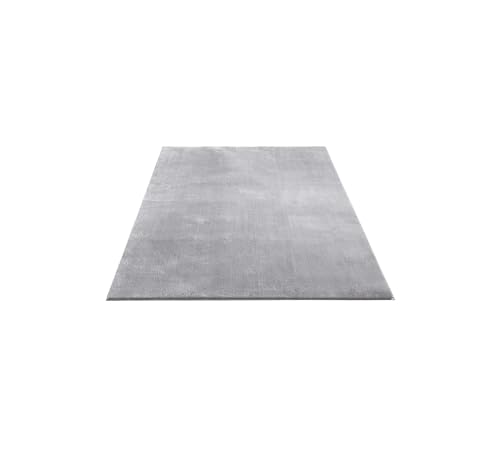 FLOORNOVO Hochflor Teppich Grau einfarbig - 200 x 140 cm - Besonders Weicher Teppich Wohnzimmer & Badezimmerteppich - Pflegeleicht - vielseitig einsetzbar im Innenbereich von FLOORNOVO