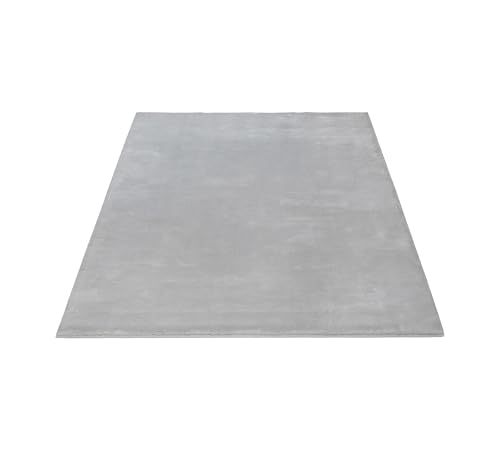 FLOORNOVO Hochflor Teppich Grau einfarbig - 230 x 160 cm - Besonders Weicher Teppich Wohnzimmer & Badezimmerteppich - Pflegeleicht - vielseitig einsetzbar im Innenbereich von FLOORNOVO