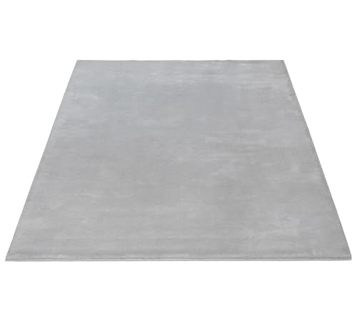FLOORNOVO Hochflor Teppich Grau einfarbig - 290 x 200 cm - Besonders Weicher Teppich Wohnzimmer & Badezimmerteppich - Pflegeleicht - vielseitig einsetzbar im Innenbereich von FLOORNOVO