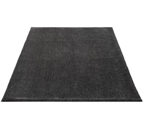 FLOORNOVO Hochflor Teppich Grau einfarbig - 290 x 200 cm - Besonders Weicher Teppich Wohnzimmer & Badezimmerteppich - Pflegeleicht - vielseitig einsetzbar im Innenbereich von FLOORNOVO