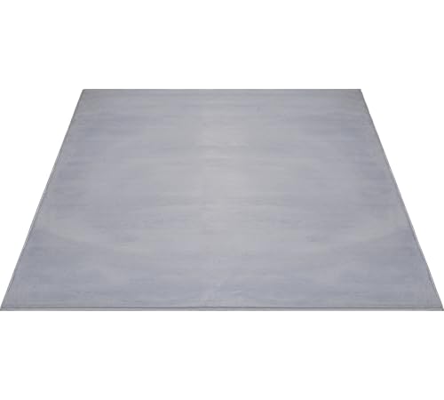 FLOORNOVO Hochflor Teppich Grau einfarbig - 340 x 240 cm - Besonders Weicher Teppich Wohnzimmer & Badezimmerteppich - Pflegeleicht - vielseitig einsetzbar im Innenbereich von FLOORNOVO