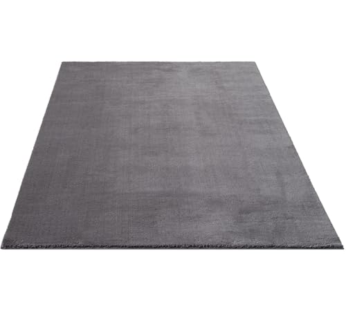 FLOORNOVO Hochflor Teppich Grau einfarbig - 340 x 240 cm - Besonders Weicher Teppich Wohnzimmer & Badezimmerteppich - Pflegeleicht - vielseitig einsetzbar im Innenbereich von FLOORNOVO