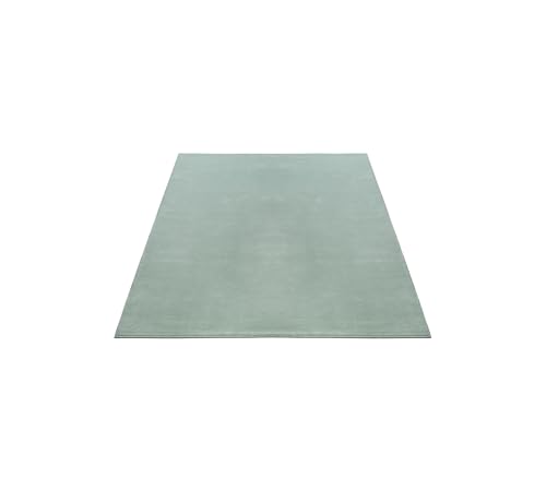 FLOORNOVO Hochflor Teppich Grün einfarbig - 170 x 120 cm - Besonders Weicher Teppich Wohnzimmer & Badezimmerteppich - Pflegeleicht - vielseitig einsetzbar im Innenbereich von FLOORNOVO