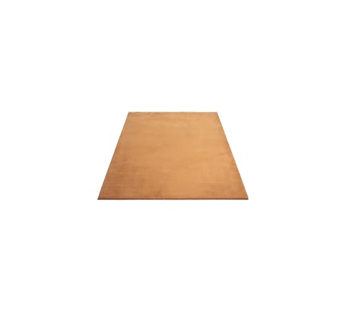 FLOORNOVO Hochflor Teppich Orange einfarbig - 150 x 80 cm - Besonders Weicher Teppich Wohnzimmer & Badezimmerteppich - Pflegeleicht - vielseitig einsetzbar im Innenbereich von FLOORNOVO