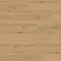 Rigid Vinylboden Holzoptik Eiche Beige 5 x 225 x 1220 mm Klick Vinyl Trittschall integriert Feuchtraumgeeignet NKL31 10 Stück - Floornovo Rigid Vinylboden Holzoptik Eiche Beige 5 x 225 x 1220 mm Klick Vinyl Trittschall integriert Feuchtraumgeeignet NKL31 10 Stück - Floornovo von FLOORNOVO