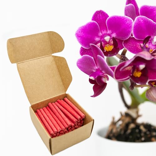 floraline® | 50x Orchideen - Düngestäbchen | Orchideendünger für bis zu 100 Tage prächtige Blumen mit Wachstum und gesunden Blüten pro Stäbchen | Schonende Anwendung für ihre Orchidee von Floraline