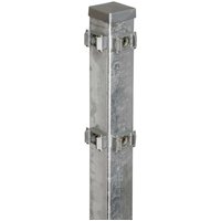 FLORAWORLD Eckpfosten, Stahl, BxHxL: 6 x 6 x 200 cm - silberfarben FLORAWORLD Eckpfosten, Stahl, BxHxL: 6 x 6 x 200 cm - silberfarben von FLORAWORLD