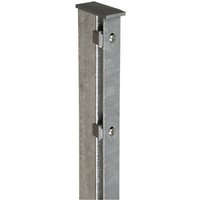 FLORAWORLD Zaunpfosten »Premium«, Stahl, BxLxT: 6 x 180 x 4 cm - silberfarben FLORAWORLD Zaunpfosten »Premium«, Stahl, BxLxT: 6 x 180 x 4 cm - silberfarben von FLORAWORLD
