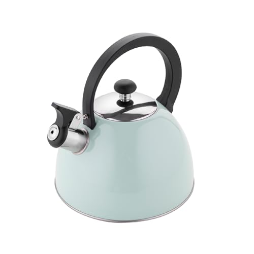 FLORINA Wasserkessel (2,5 l) I Edelstahl Teekessel BRILLO I Flötenkessel mit Bakelitgriff I Kratzfester I Wasserkocher für Induktionsherd, Gasherd und Elektroherd I Farbe: Minze von FLORINA