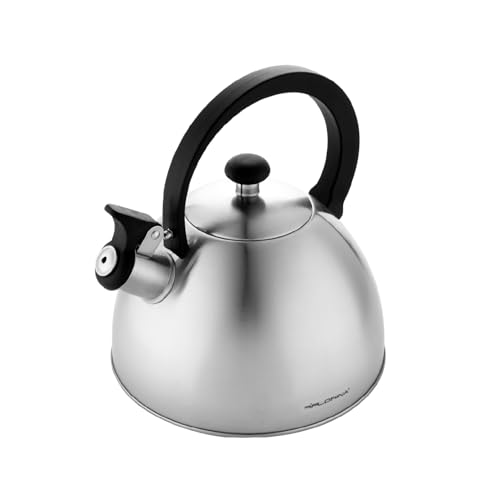 FLORINA Wasserkessel (2,5 l) I Edelstahl Teekessel BRILLO I Flötenkessel mit Bakelitgriff I Kratzfester I Wasserkocher für Induktionsherd, Gasherd und Elektroherd I Farbe: Silber von FLORINA