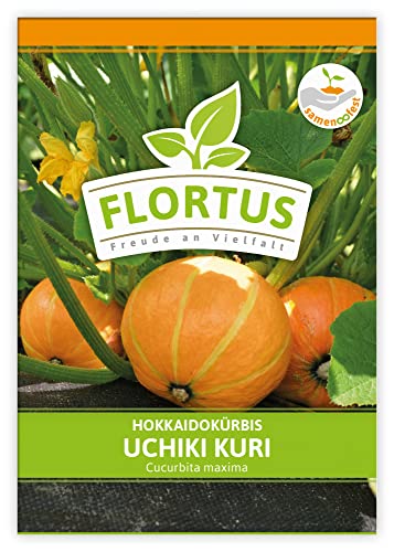 FLORTUS Hokkaidokürbis Uchiki Kuri | Gemüsesamen | Kürbissamen | Hokkaidokürbissamen | Samen zur Anzucht für Garten, Balkon, Küche & Fensterbank von FLORTUS Freude an Vielfalt