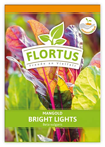 FLORTUS 2000-0482 Mangold Bright Lights (Mangoldsamen) von FLORTUS Freude an Vielfalt