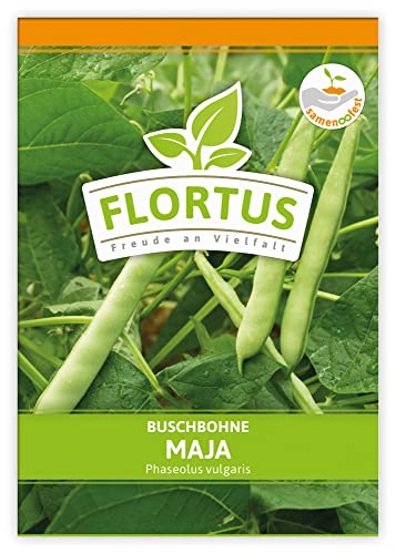 FLORTUS Buschbohne Maja | Gemüsesamen | Bohnensamen | Buschbohnensamen | Samen zur Anzucht für Garten, Balkon, Küche & Fensterbank von FLORTUS Freude an Vielfalt