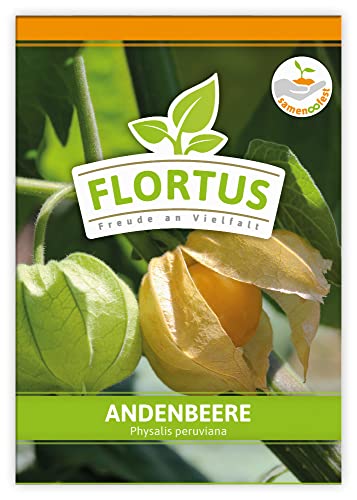 FLORTUS Andenbeere | Andenbeerensamen | Obstsamen | Samen zur Anzucht für Garten, Balkon, Küche & Fensterbank von FLORTUS Freude an Vielfalt