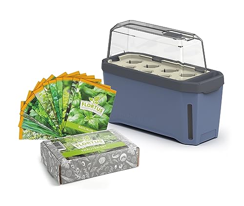 FLORTUS Anzuchtset Kräutersamen mit Kräutertopf Harry Herbs blau | Gewächshaus mit Bewässerungssystem & 12 Sorten Kräuter | Geschenkset Mitgebsel von FLORTUS Freude an Vielfalt