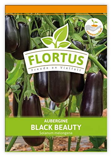 FLORTUS Aubergine Black Beauty | Gemüsesamen | Auberginensamen | Samen zur Anzucht für Garten, Balkon, Küche & Fensterbank von FLORTUS Freude an Vielfalt