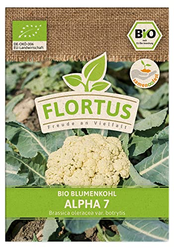 FLORTUS BIO Blumenkohl Alpha 7 | Gemüsesamen | Kohlsamen | Blumenkohlsamen | Samen zur Anzucht für Garten, Balkon, Küche & Fensterbank von FLORTUS Freude an Vielfalt