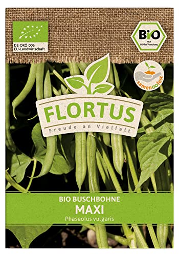 FLORTUS BIO Buschbohne Maxi | Gemüsesamen | Bohnensamen | Buschbohnensamen | Samen zur Anzucht für Garten, Balkon, Küche & Fensterbank von FLORTUS Freude an Vielfalt