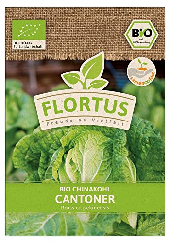 FLORTUS BIO Chinakohl Cantoner | Gemüsesamen | Kohlsamen | Chinakohlsamen | Samen zur Anzucht für Garten, Balkon, Küche & Fensterbank von FLORTUS Freude an Vielfalt