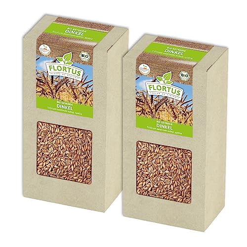 FLORTUS BIO Dinkel Getreide Samen 400g | Alte Sorten Urgetreide zur Herstellung von Dinkelmehl Nudeln Brot Müsli & Microgreens | Sprossen Samen von FLORTUS Freude an Vielfalt