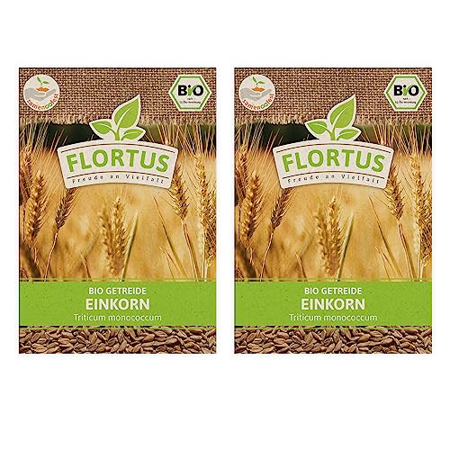 FLORTUS BIO Einkorn Getreide Samen 150g | Alte Sorten robustes Urgetreide zur Herstellung von Nudeln Brot Sauerteig & Microgreens | Sprossen Samen von FLORTUS Freude an Vielfalt