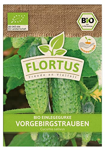 FLORTUS BIO Einlegegurke Vorgebirgstrauben | Gemüsesamen | Gurkensamen | Einlegegurkensamen | Samen zur Anzucht für Garten, Balkon, Küche & Fensterbank von FLORTUS Freude an Vielfalt