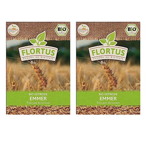 FLORTUS BIO Emmer Getreide Samen 150g | Alte Sorten robustes Urgetreide zur Herstellung von Mehl Nudeln Brot Müsli & Microgreens | Sprossen Samen von FLORTUS Freude an Vielfalt