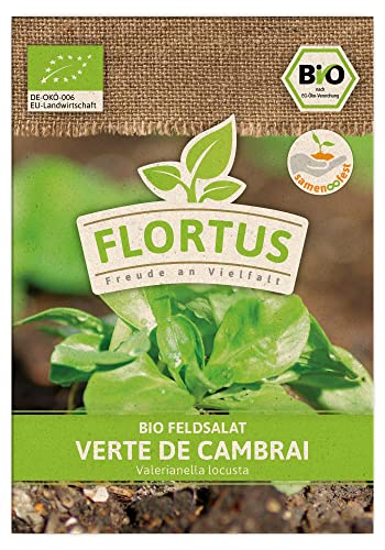 FLORTUS BIO Feldsalat Verte de Cambrai | Gemüsesamen | Salatsamen | Feldsalatsamen | Samen zur Anzucht für Garten, Balkon, Küche & Fensterbank von FLORTUS Freude an Vielfalt