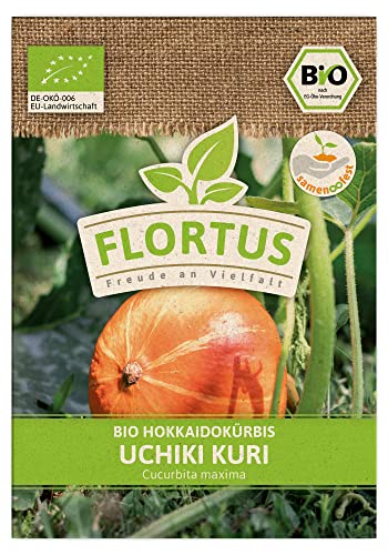 FLORTUS BIO Hokkaidokürbis Uchiki Kuri | Gemüsesamen | Kürbissamen | Hokkaidokürbissamen | Samen zur Anzucht für Garten, Balkon, Küche & Fensterbank von FLORTUS Freude an Vielfalt