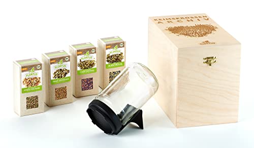 FLORTUS BIO Keimsprossen Archiv Geschenkbox - inkl. 4x Sprossen Mix | Fitness, Helden, Power & Pikante Mischung | Geschenkset mit Sprossenglas | Keimsprossenbox Holzbox mit Deckel von FLORTUS Freude an Vielfalt