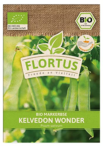 FLORTUS BIO Markerbse Kelvedon Wonder | Gemüsesamen | Erbsensamen | Markerbsensamen | Samen zur Anzucht für Garten, Balkon, Küche & Fensterbank von FLORTUS Freude an Vielfalt