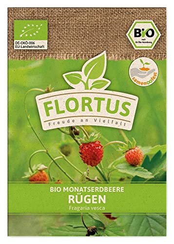 FLORTUS BIO Monatserdbeere Rügen | Erdbeersamen | Obstsamen | Samen zur Anzucht für Garten, Balkon, Küche & Fensterbank von FLORTUS Freude an Vielfalt