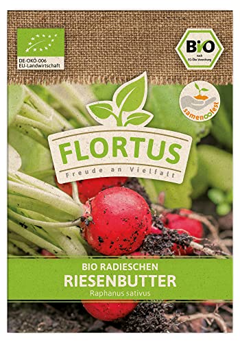 FLORTUS BIO Radieschen Riesenbutter | Gemüsesamen | Radieschensamen | Samen zur Anzucht für Garten, Balkon, Küche & Fensterbank von FLORTUS Freude an Vielfalt