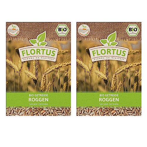 FLORTUS BIO Roggen Getreide Samen 150g | Alte Sorten Urgetreide zur Herstellung von Mehl Sauerteig Brot Roggengras & Microgreens | Sprossen Samen von FLORTUS Freude an Vielfalt