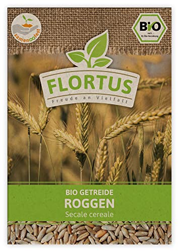 FLORTUS BIO Roggen Getreide Samen 75g | Alte Sorten Urgetreide zur Herstellung von Mehl Sauerteig Brot Roggengras & Microgreens | Sprossen Samen von FLORTUS Freude an Vielfalt